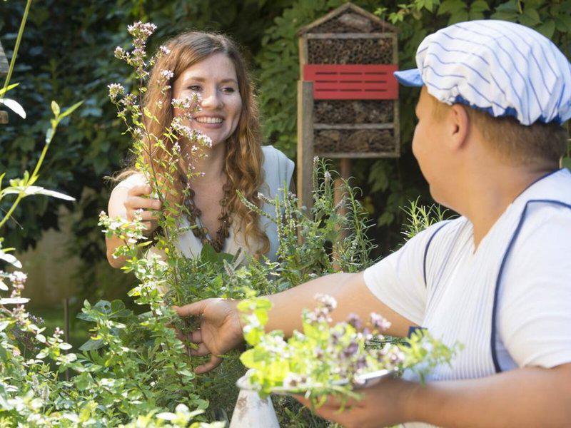 D52F05C0B509AF87876298CEAE62B481