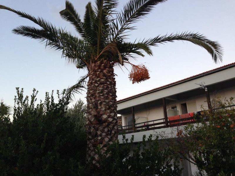 0B42539B5C871424C45FA3BF2E27C661