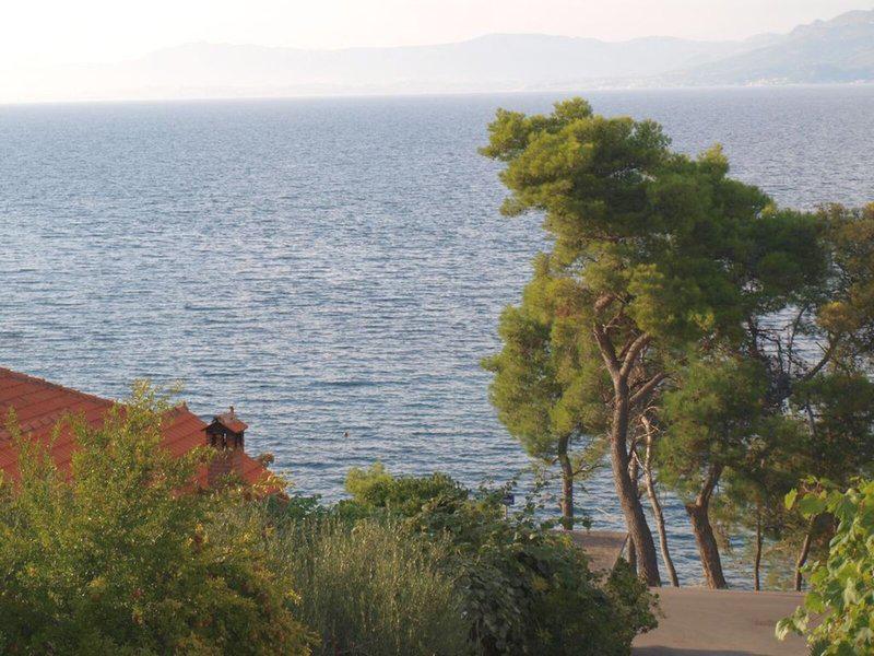 7405E88CDD482176353CA3DC7DE8A67E