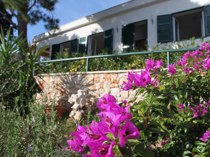 65311DFABCBCF845CC264BA2115F95F5