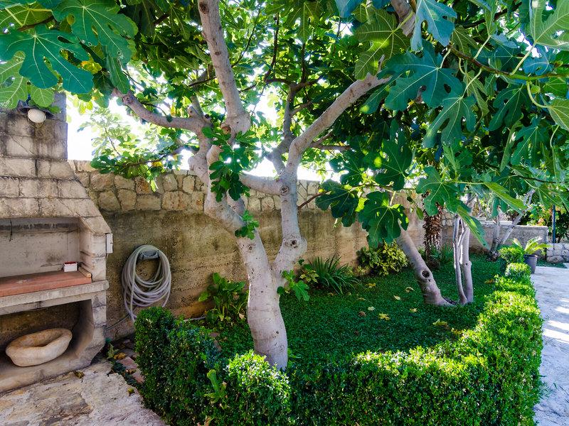 02944233B454FA68FFFCFF61E2EFAA2C