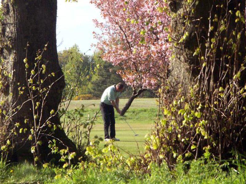 82C0998BE82018EB8B5763380EB5EDD4