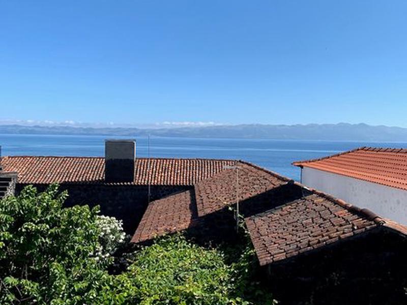 6D1EF7E2556D523519E4FBE45D022E6A