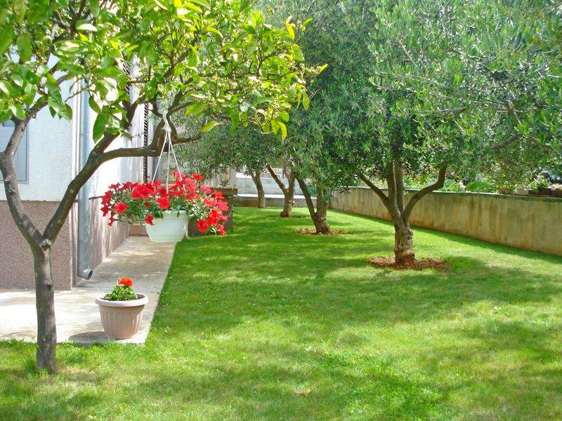 4CF095134D05EFD7D9D127A3C2C5A452