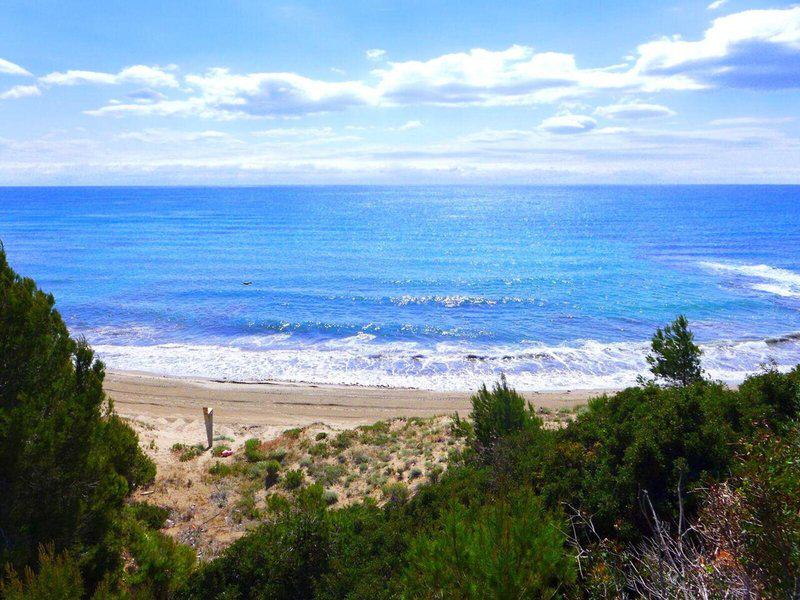 00C0C53922FE058F0DD65BF40AB42324