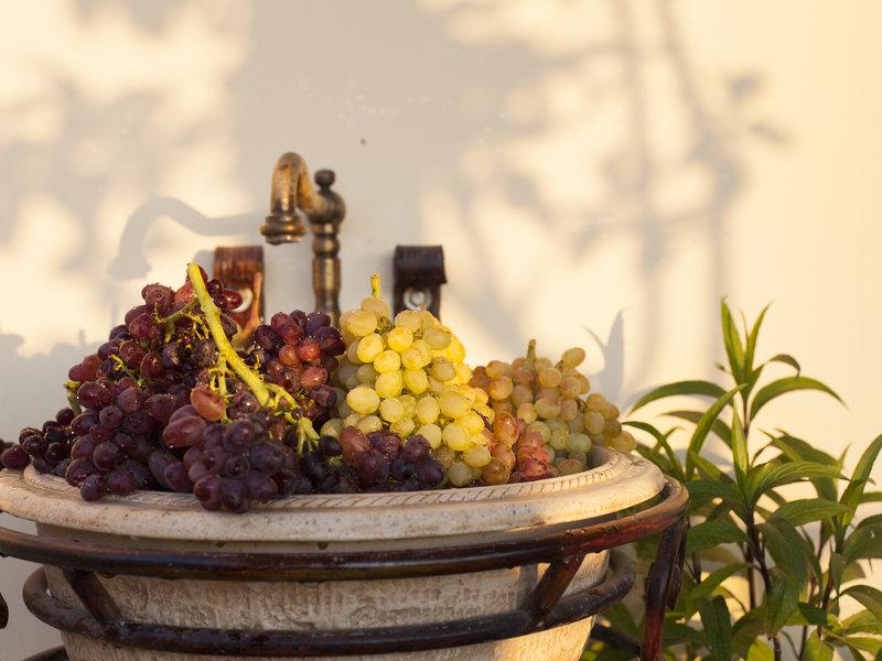 39468C4C6A7BD4184BC339FA25D5A8BE