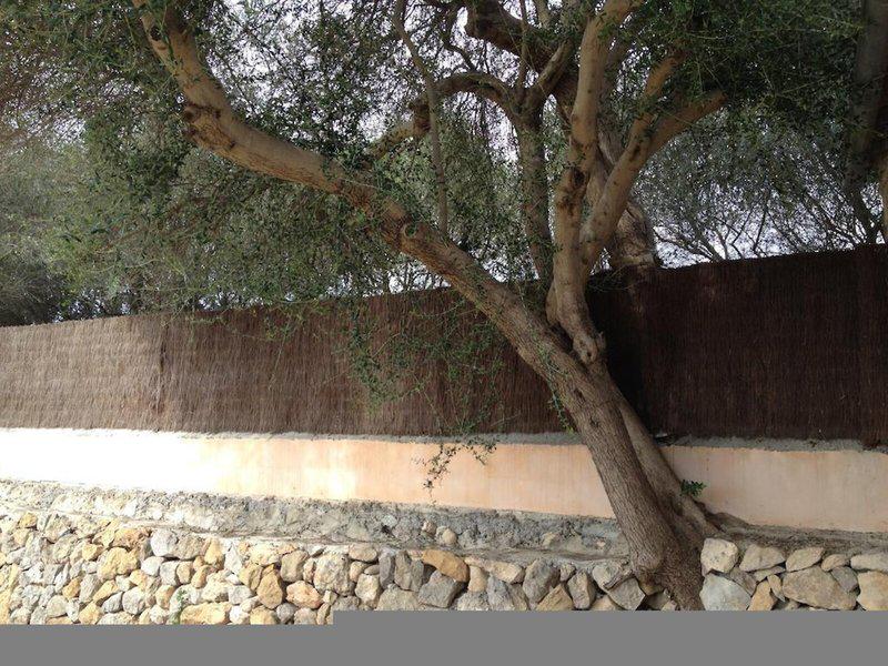 FCCB94FC33795EDA089AEB0A9A031E27