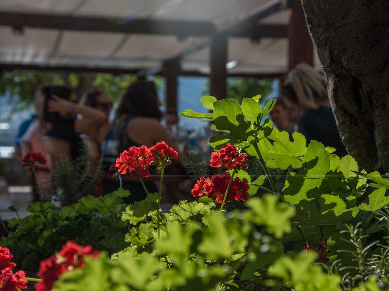 21AD499CE124AD7A5A62184982EE2FF5