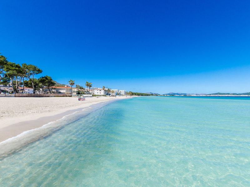 E4423A876ADE8E3D593B60235DF9DC6E