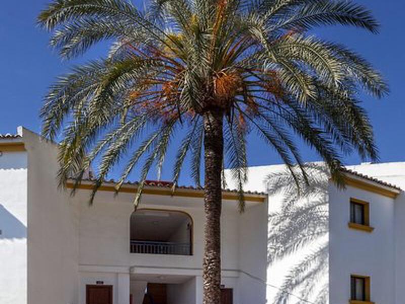 719058A36867EDCF47C5C4EBD40CD264