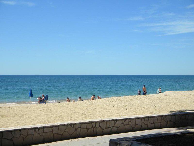 D619E7C2468E89E8448CD6FD22C5D906