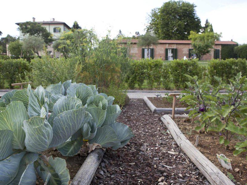 8EC4F154342011C681626C045337407A