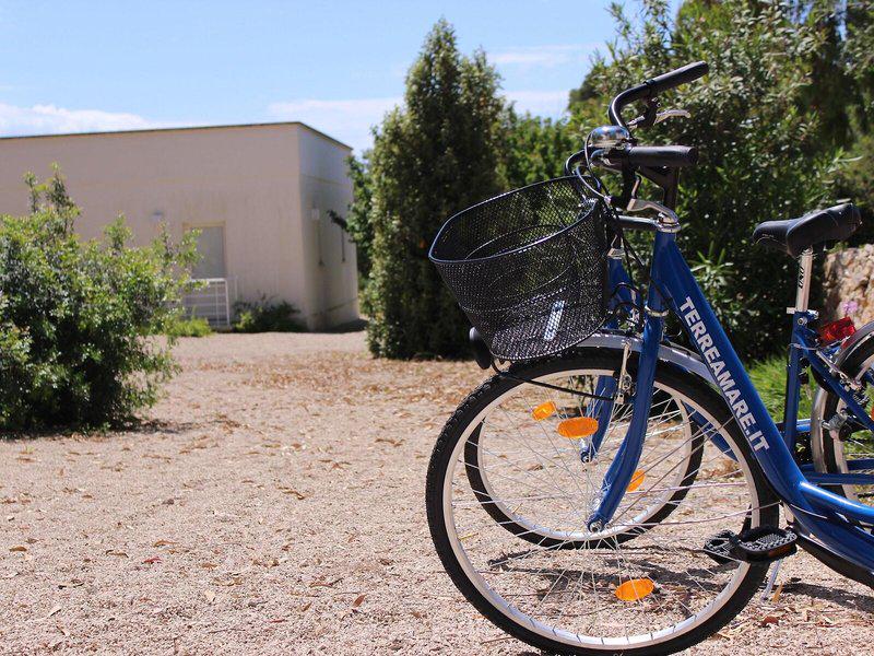 52BC4CD859A62CCE28E5095BC20A49C9