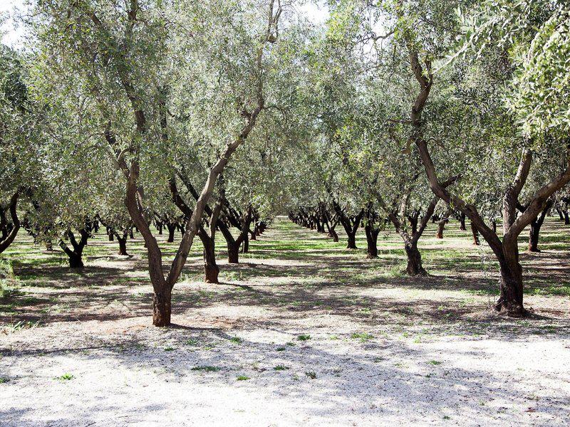 6B2BB2588FBB520F7A2BC33CD6429812