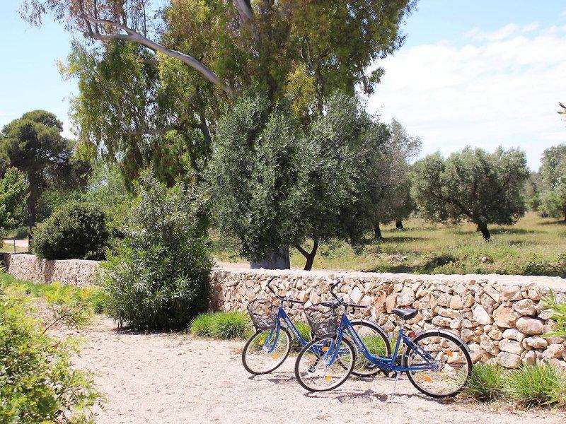 8B7275FE4254F0EC7A5FA30CCBBB7F70