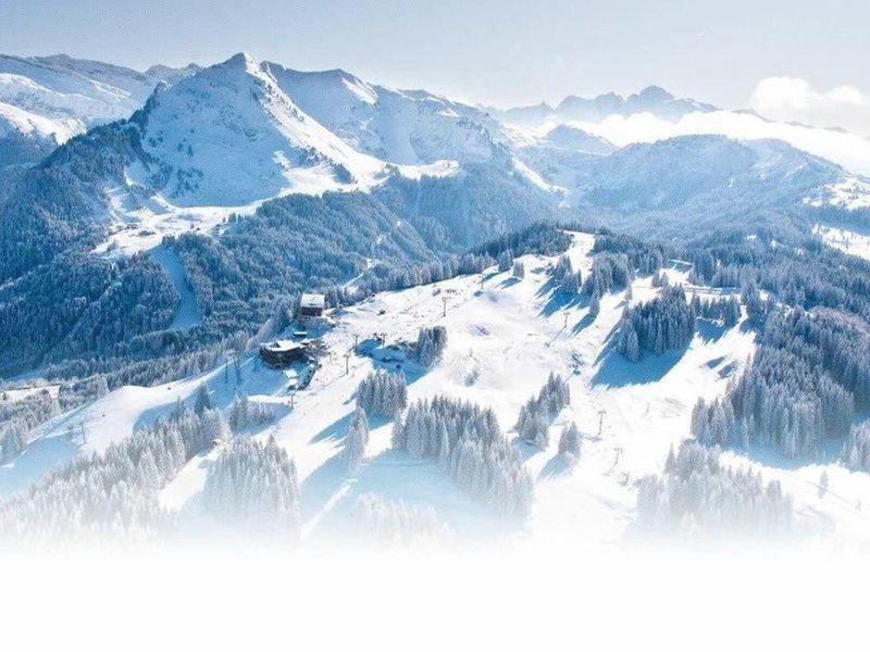 9E85FBD8B196A366EE59D773AD668AF6