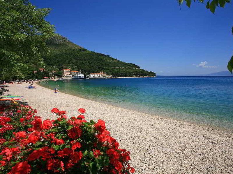 A6E787047ADB8C768AA46322E04BC3FE