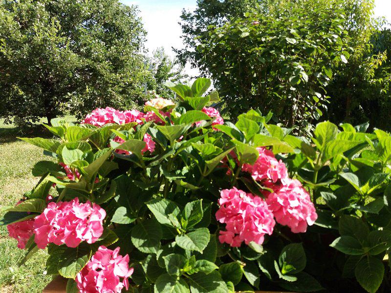 05ED5067A2D94C3F105DC088AA7C0E28