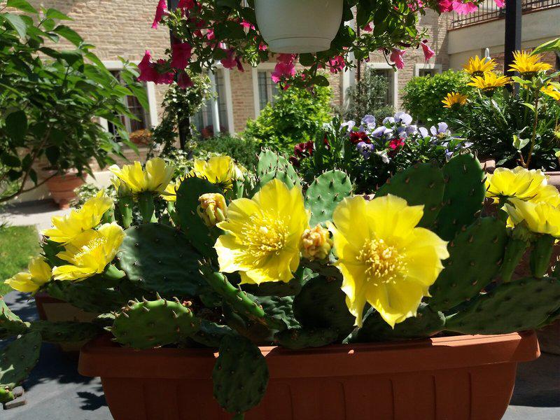 E389EC989AB3F1440FD15FF4C4DA7329