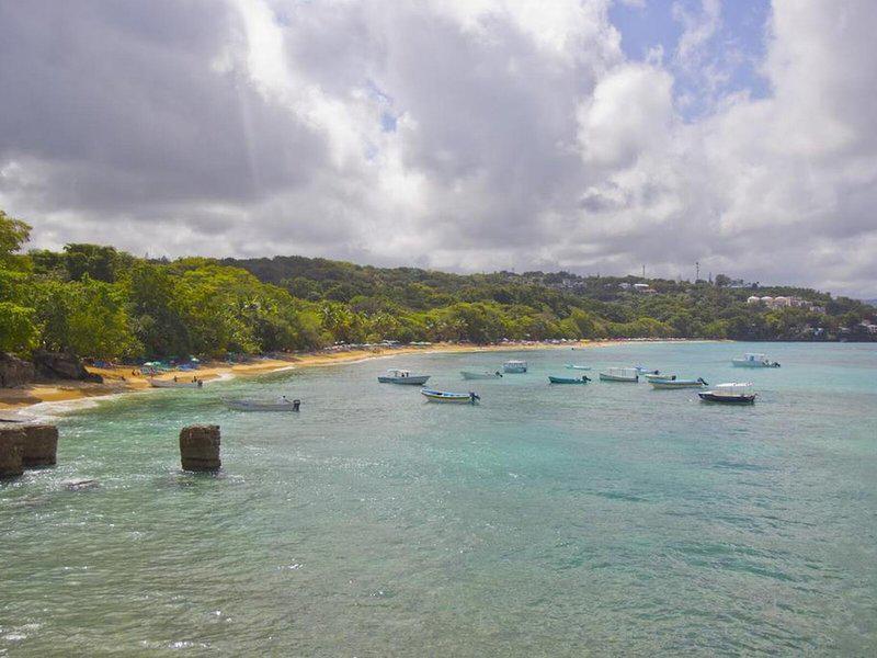 A0B9B7673868884890ACDD49027A5F46