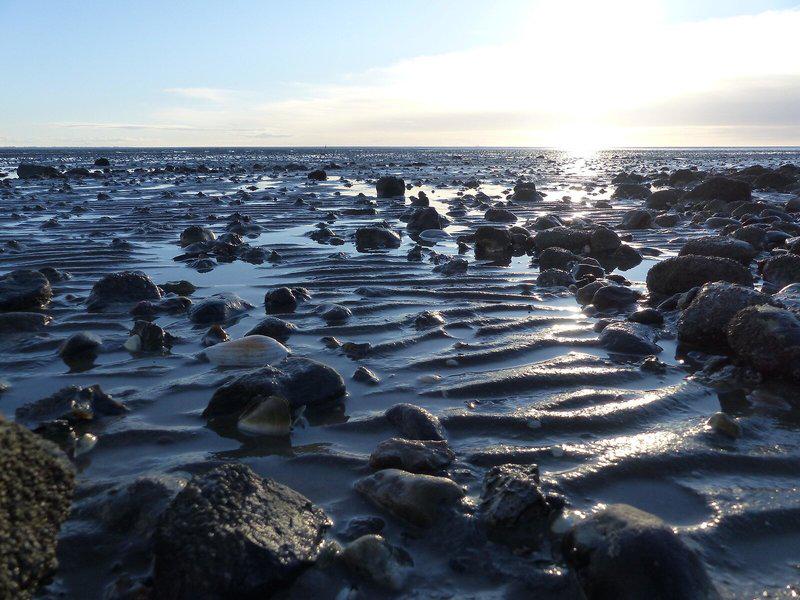 982D1457456C63F5DFC7A3C5D6E24F1E