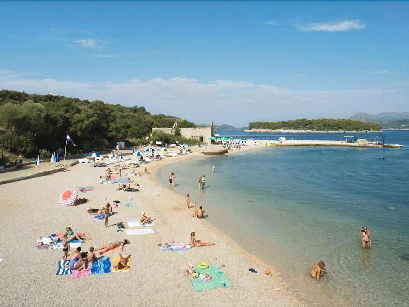 478AEE42CCBE77BFB13B25E9BF63F1DA