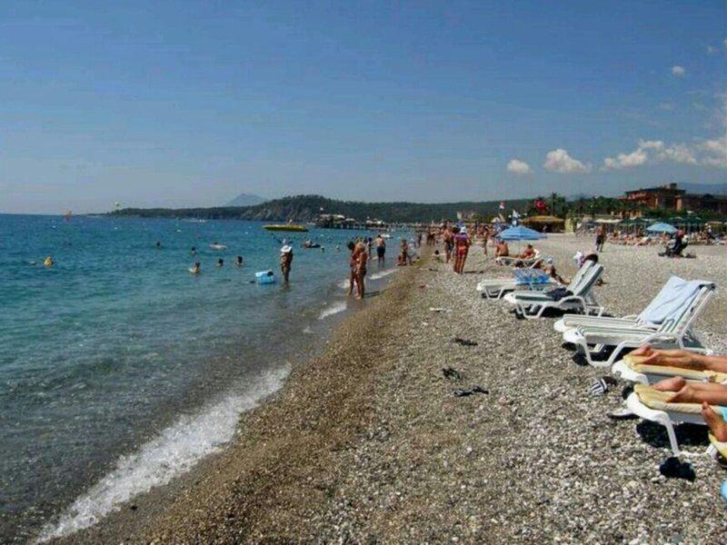 191F08A6854D99A7C2E05306A73179CC