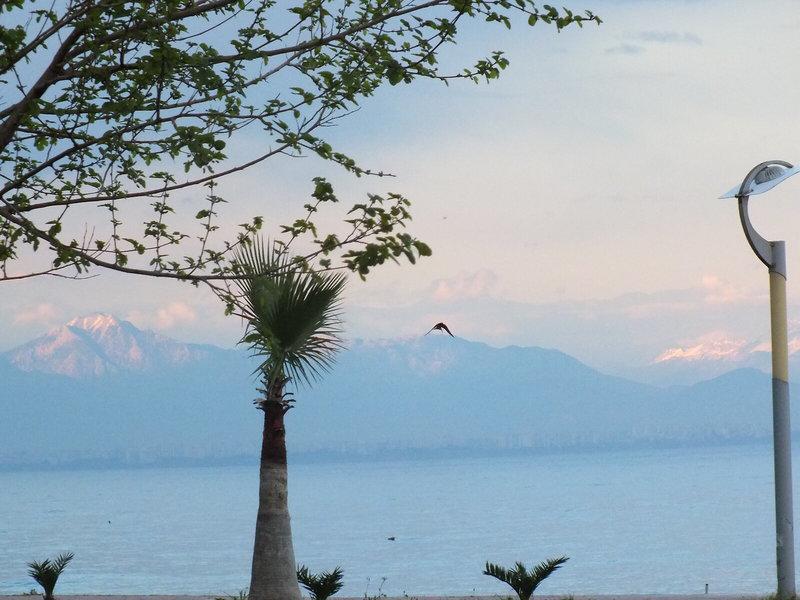 3200029FBA1F90B2304559AEC750A9CC