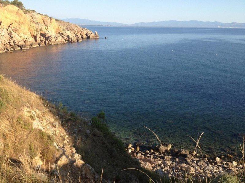 806C40552EE419738A96EDD89607C39A