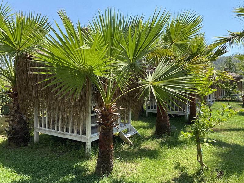 1E984BEA0DA8C527F46B8FF1175C8154