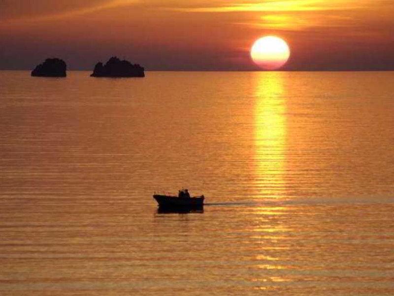 8635BB5C2FF65E029A813D611C893EB1