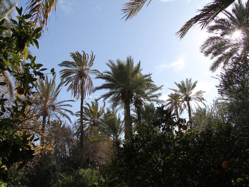 97D3E5B6F15916D42043E90675B6EA08