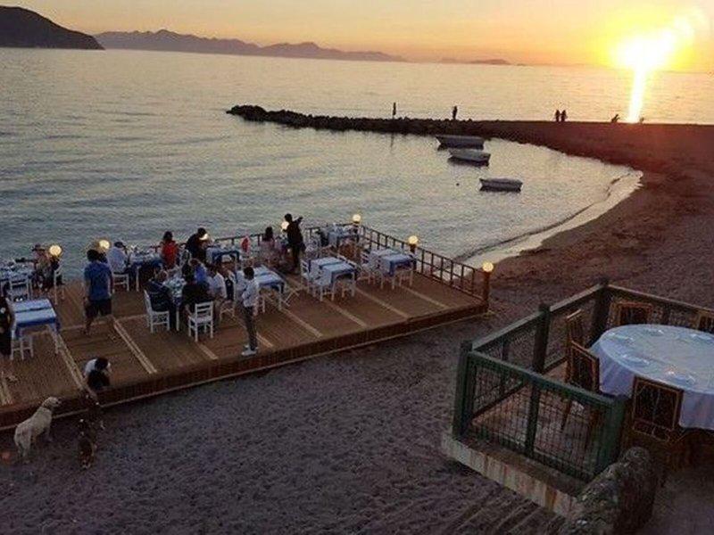 11977661A88A90DC96EE38A528A6D620