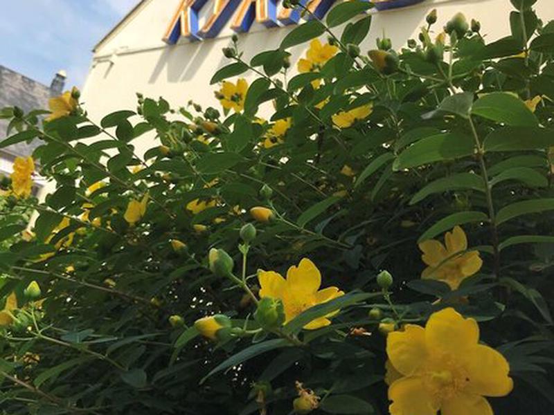 294B9E5E324C5D6CAF872C31C039BB27