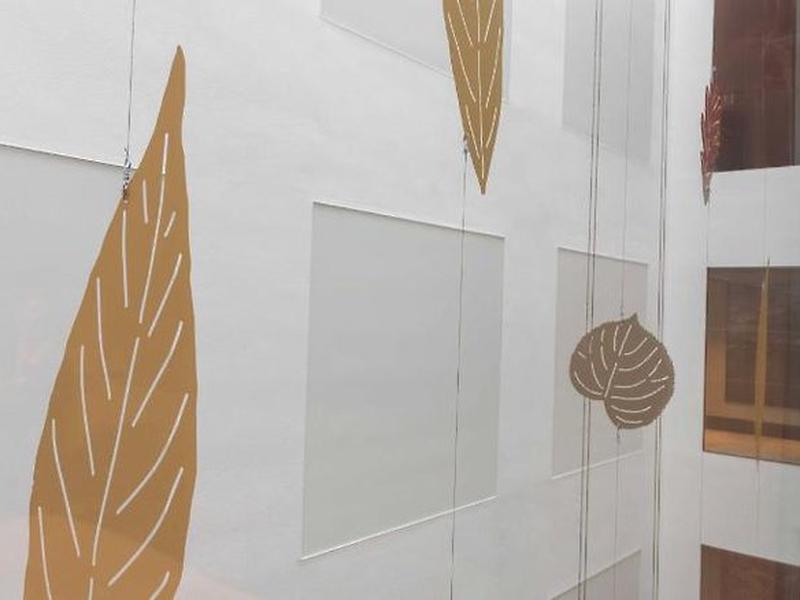 9D1B6E5B1F0BD449569907BDCD6ACF83