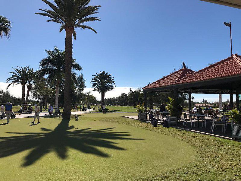 7236DD6C2F47DD3C3978149C55F3FE55