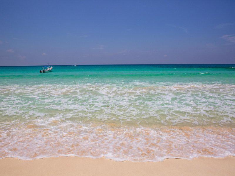 7D636B6AE33966EF046B93A11D78834C