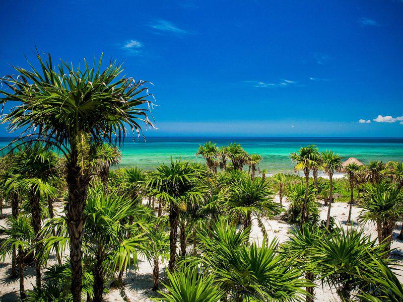 476A06CBE0EE82705A9FBB842766E456