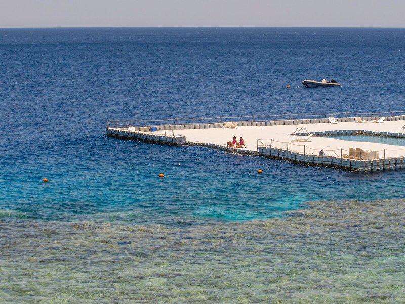 D73C51E38869FB55246936E7B3473D7C