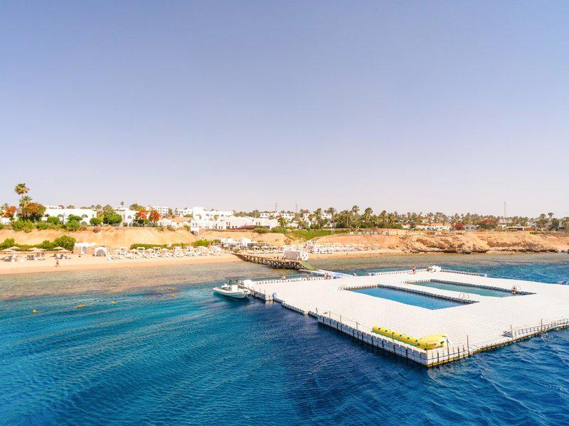 81620D939C3CB7B69810897B0E513DB8