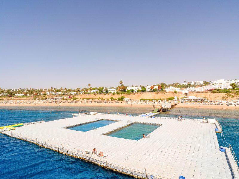 BC36EE77B1C1B663AB434AFDB18AF24E