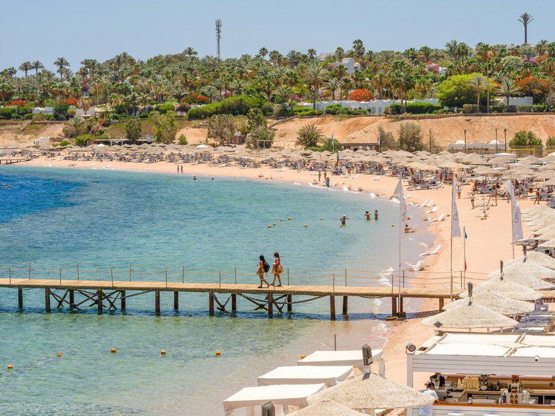 06DE2DC0383B3E240E54E5664FEFC29A