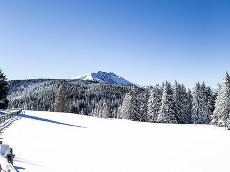 3A356974A829C7252DAF382988DAAD7B