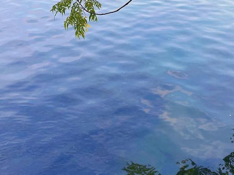 31BFFAA29BF5A6F08C0993DD7C91B29C