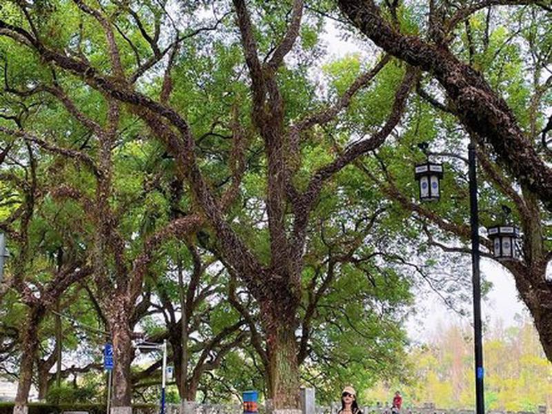 84512E85E529E80E58BBA1132619A77A