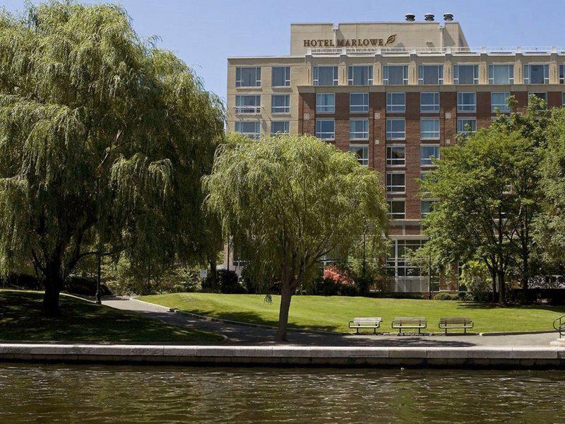 981AEF1981F60608579D0AD6D7F29443