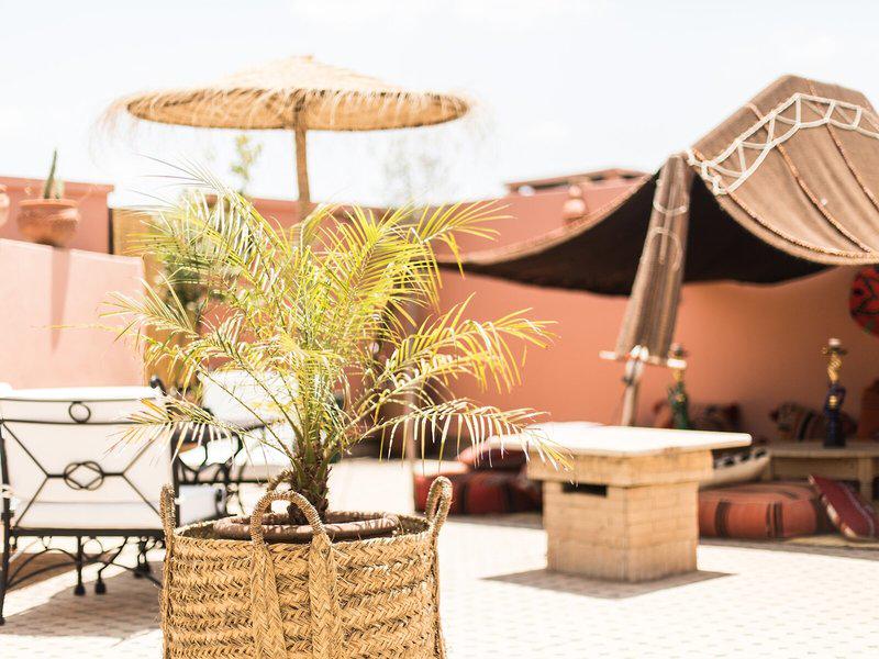 80368F108645F1D8F63BDCF7FE53227C