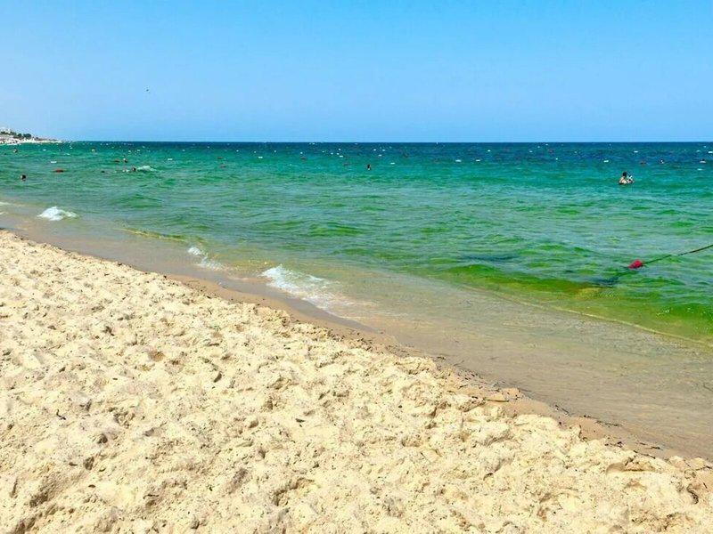 74CA798118226035B0DE6EF7E9C23F0C