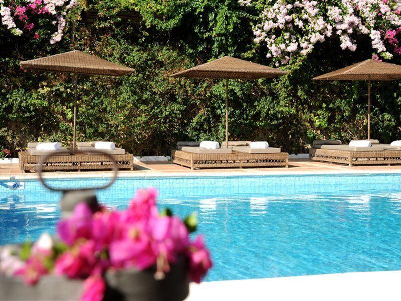 3A2209009B7069FEEEB65FA81F30C5FE