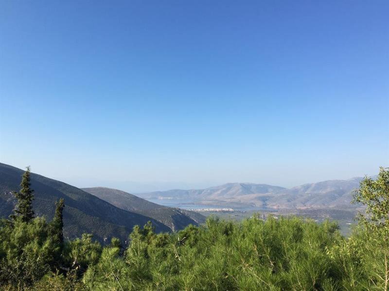 40194D04313098A513EF32EEC3BBC9F6